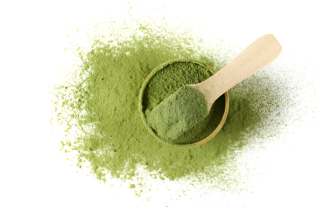 Natural Herbal Powder Suppliers Delivering Wellness Worldwide