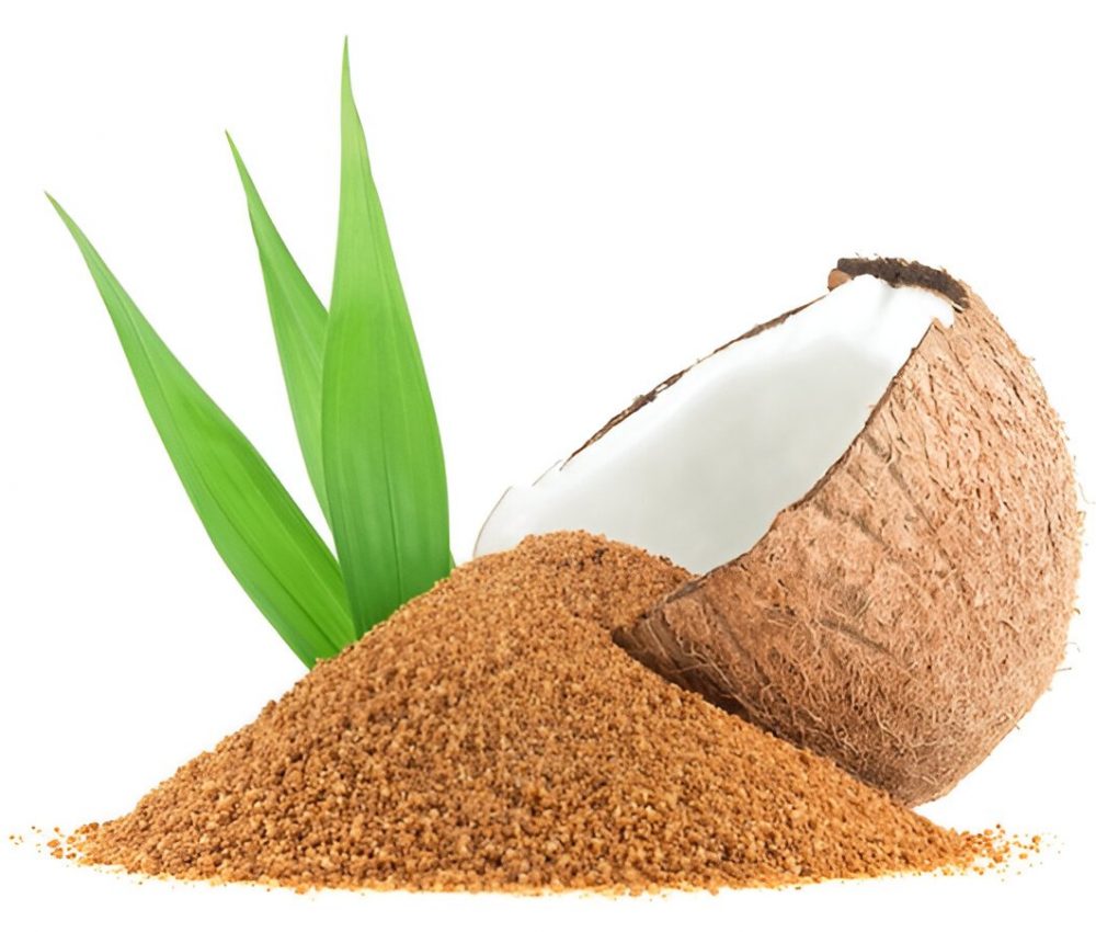 Sustainable Food Export Solutions for a Greener Global Future